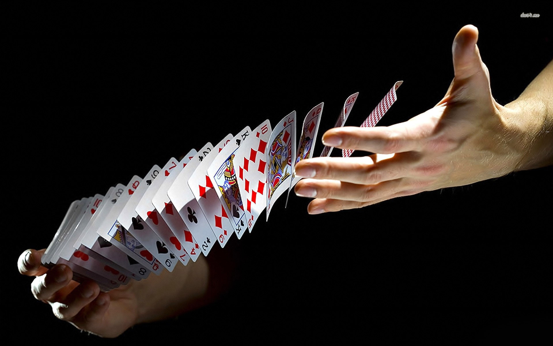 54dewapoker agen judi kartu taruhan poker on line terpercaya